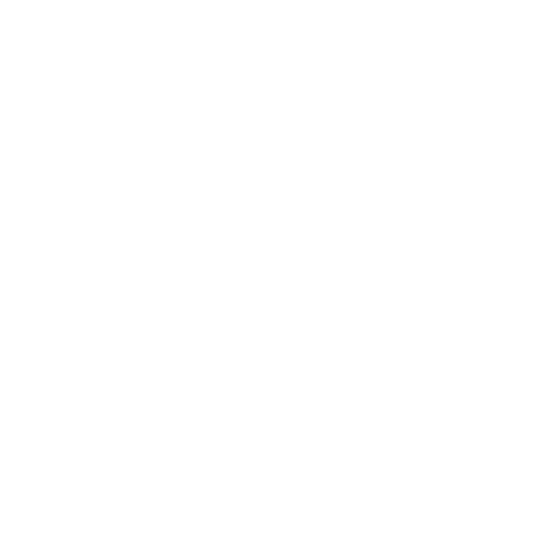 aok logo