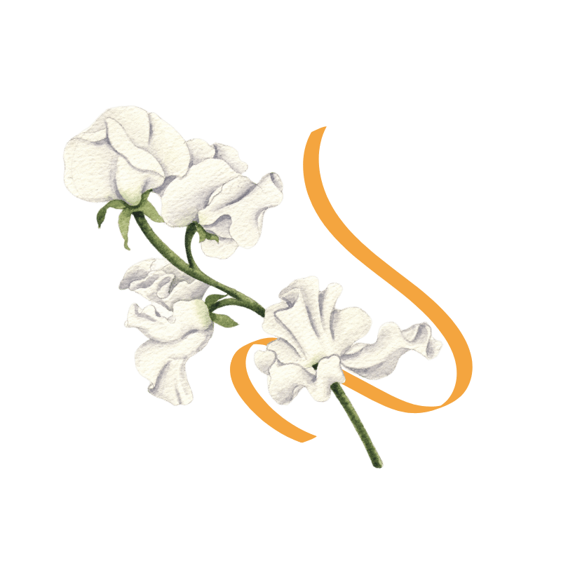 White flowers with an orange brush stroke, Outfitters brand graphic